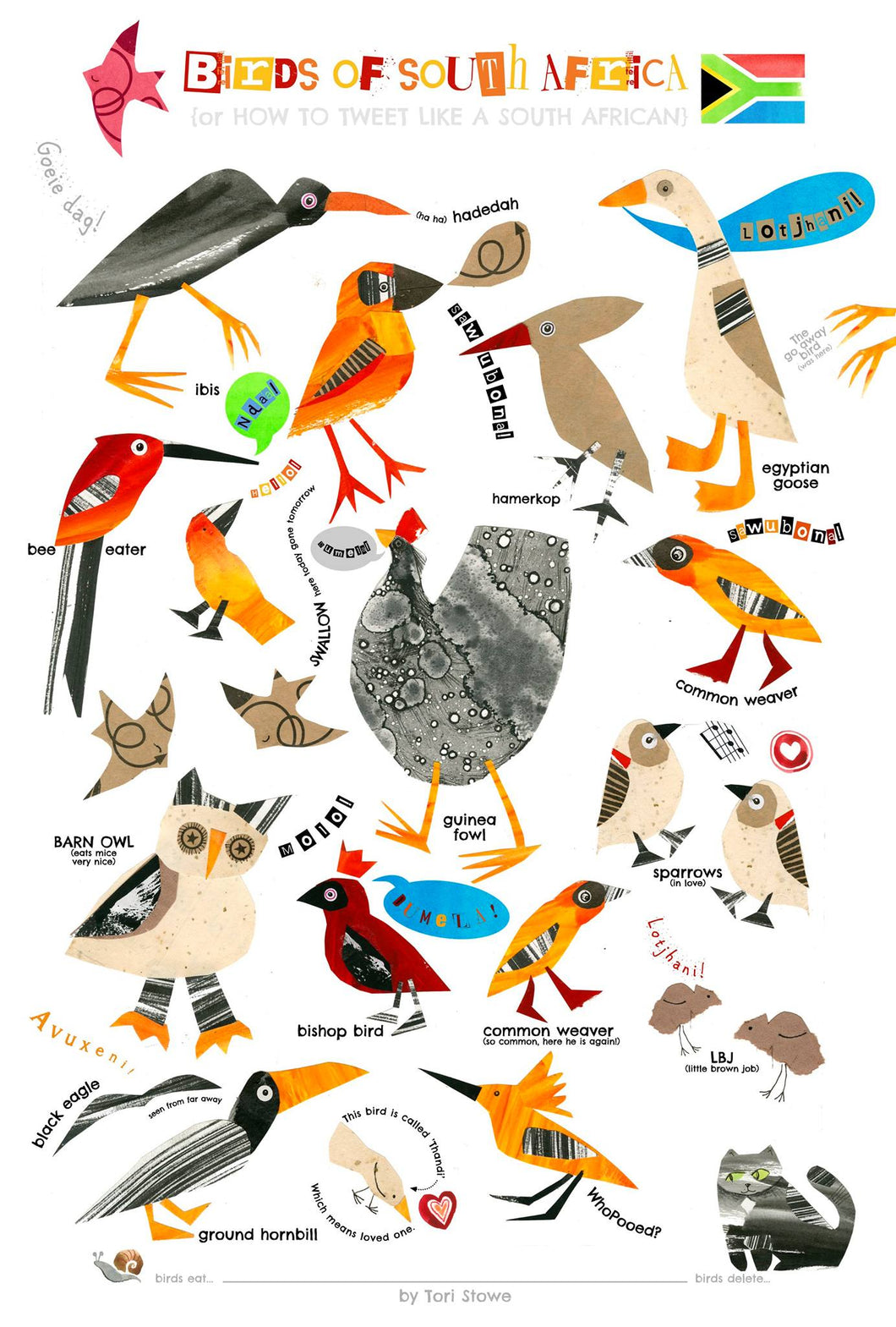 Common South African Birds by Tori Stowe